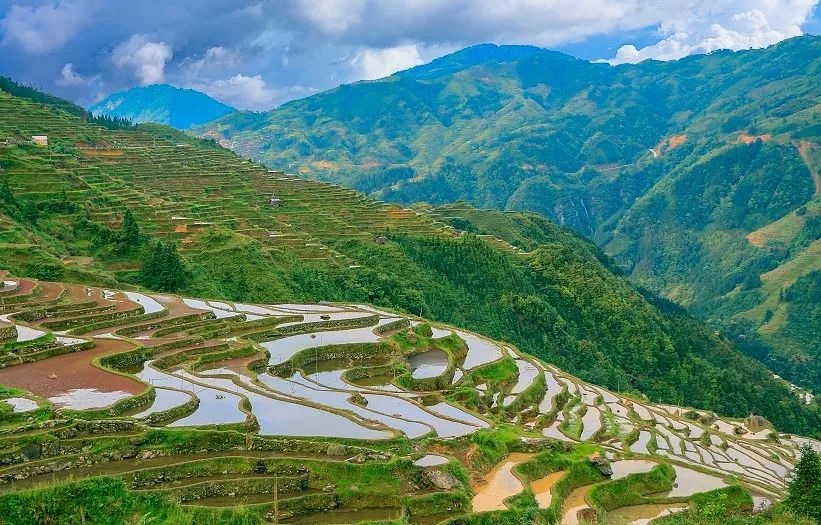 重庆自驾荔波旅游攻略_重庆到荔波旅游_重庆至荔波旅游攻略