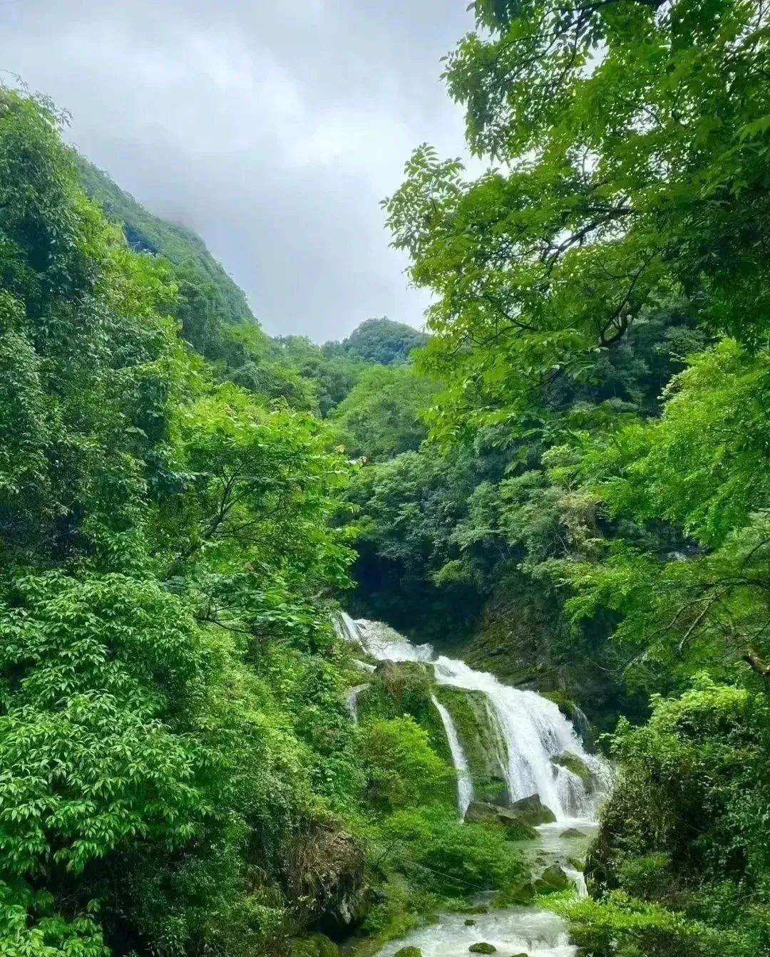 重庆自驾荔波旅游攻略_重庆至荔波旅游攻略_重庆自驾荔波