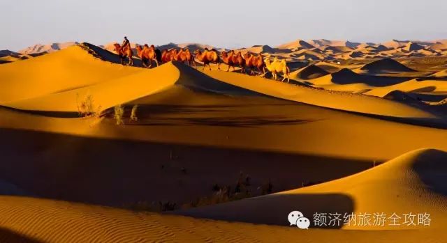 重庆额济纳旗专列_重庆到额济纳旗旅游攻略_重庆自驾额济纳旗旅游路书