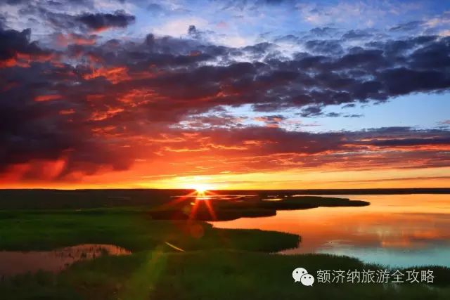 重庆额济纳旗专列_重庆自驾额济纳旗旅游路书_重庆到额济纳旗旅游攻略