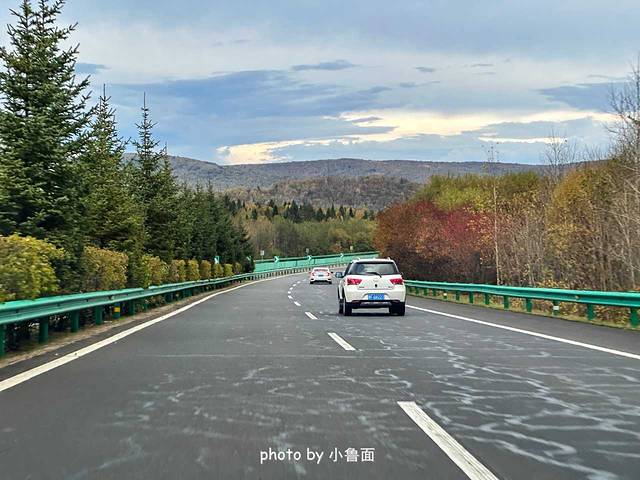 五一五大连池旅游攻略_五大连池风景区旅游攻略_大连池在哪里