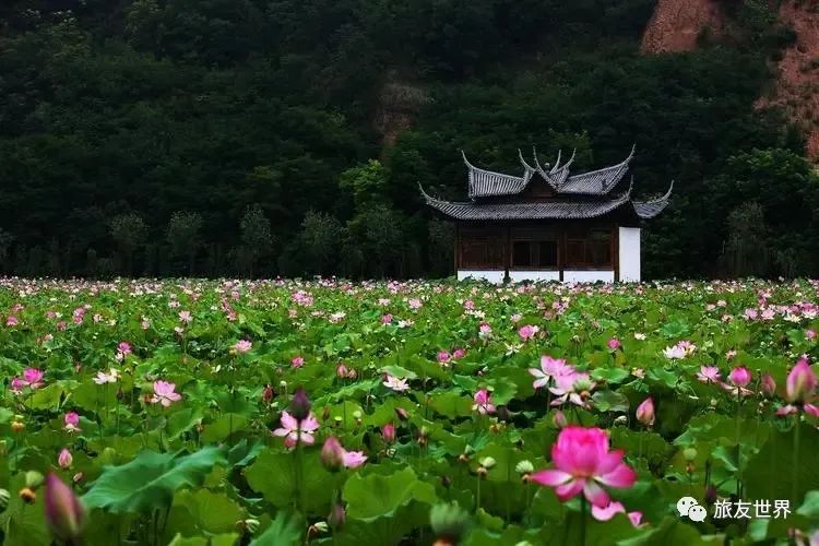 西樵山 旅游攻略_西樵山叫什么名字_西樵山景区