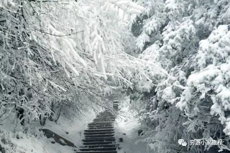 峨眉山旅游景点推荐_峨眉山旅游攻略景点必去_峨眉山旅游攻略相关推荐