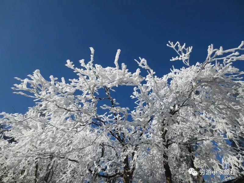 峨眉山旅游景点推荐_峨眉山旅游攻略景点必去_峨眉山旅游攻略相关推荐