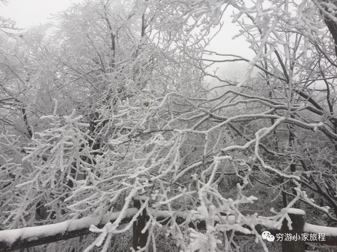 峨眉山旅游攻略相关推荐_峨眉山旅游景点推荐_峨眉山旅游攻略景点必去