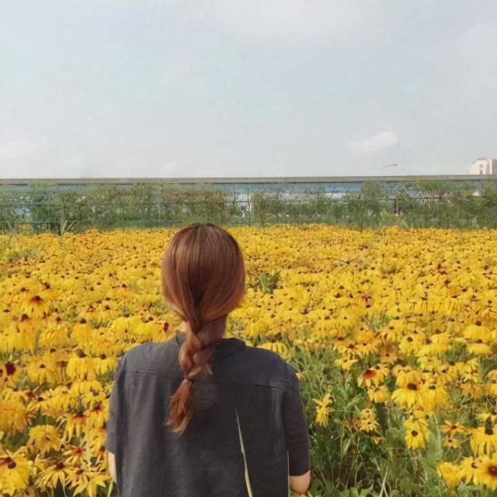 女士时尚假发_女士假发发型_女性时尚假发