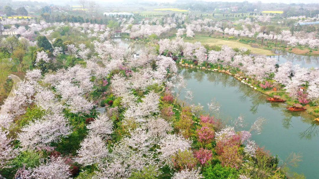 攻略荆门旅游路线_荆门旅游攻略_攻略荆门旅游的地方