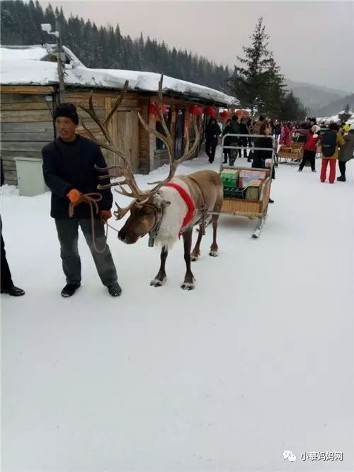 雪乡旅游 穿衣 攻略_去雪乡穿啥_去雪乡要穿什么鞋子