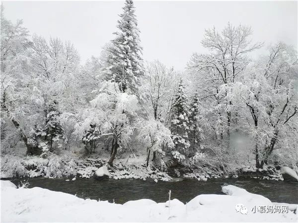 去雪乡穿啥_去雪乡要穿什么鞋子_雪乡旅游 穿衣 攻略