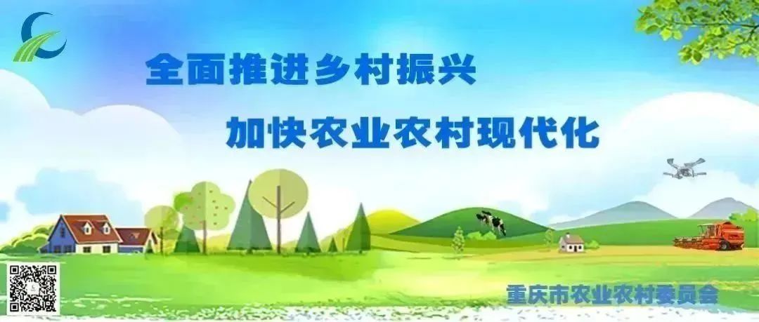 2024年阆中旅游攻略_阆中旅游景点门票价格_2020春节阆中旅游