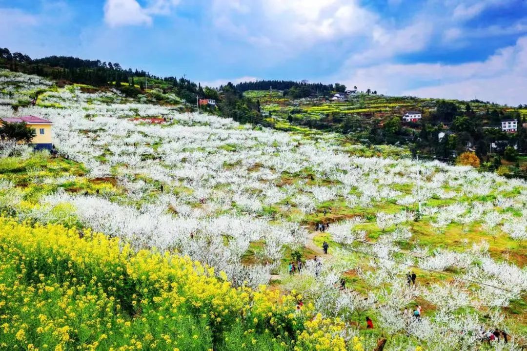 阆中旅游景点门票价格_2020春节阆中旅游_2024年阆中旅游攻略