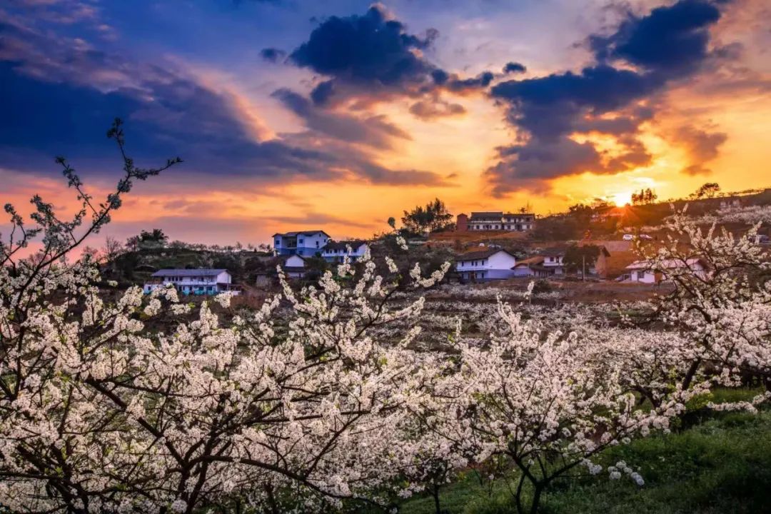 2020春节阆中旅游_阆中旅游景点门票价格_2024年阆中旅游攻略