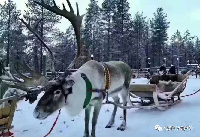 雪乡旅游穿什么衣服照片_去雪乡要穿什么鞋子_雪乡旅游 穿衣 攻略