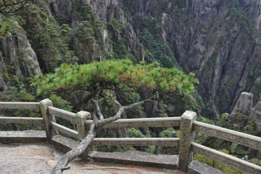 江西宏村旅游攻略_江西宏村和安徽宏村_宏村旅游攻略宏村