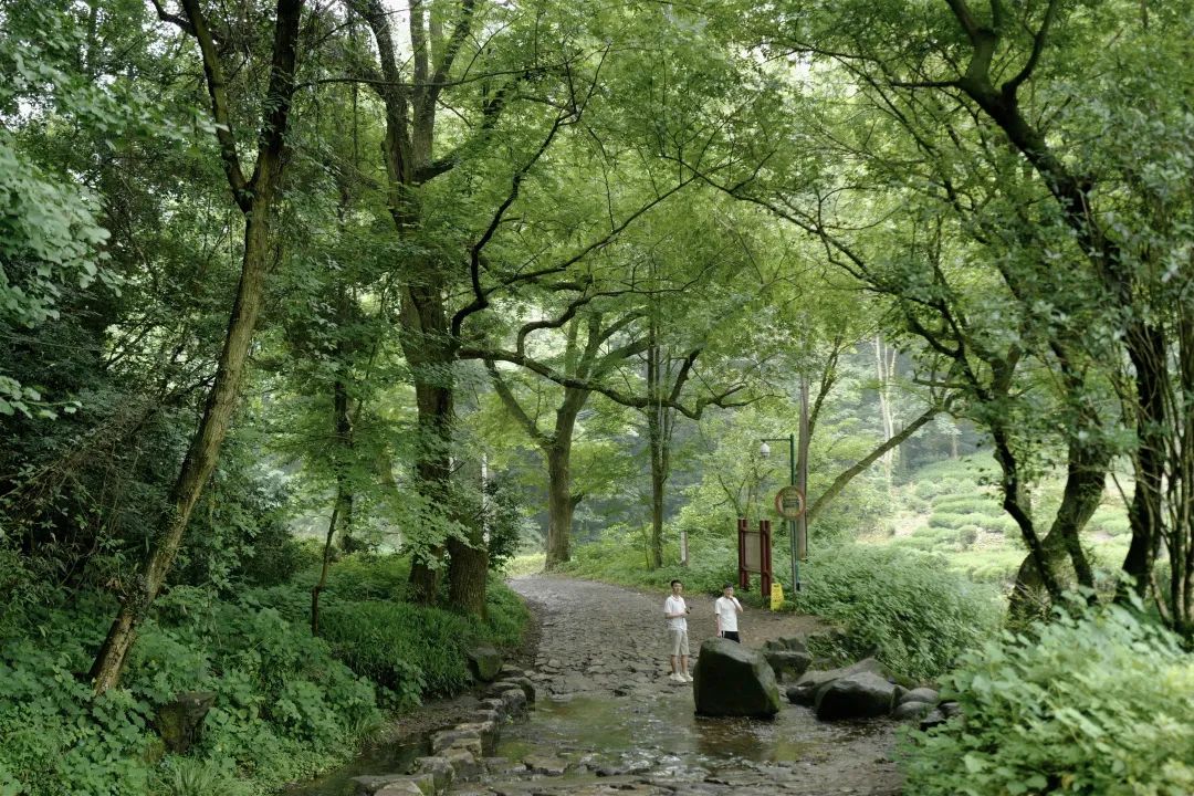 杭州山沟沟景点_杭州山沟沟风景名胜区_杭州山沟沟旅游攻略