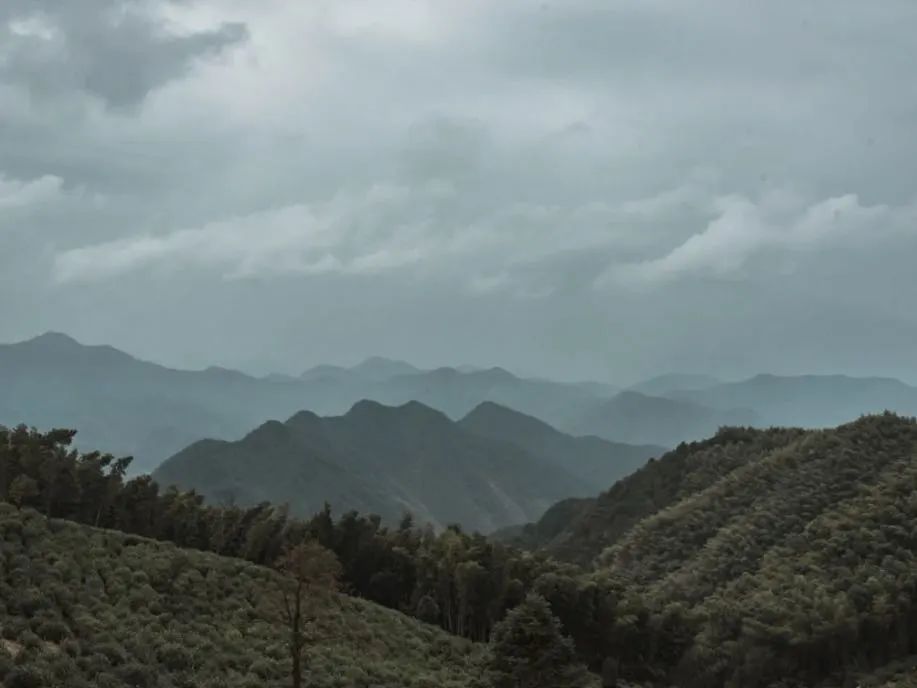 杭州山沟沟旅游攻略_杭州山沟沟景点_杭州山沟沟风景名胜区