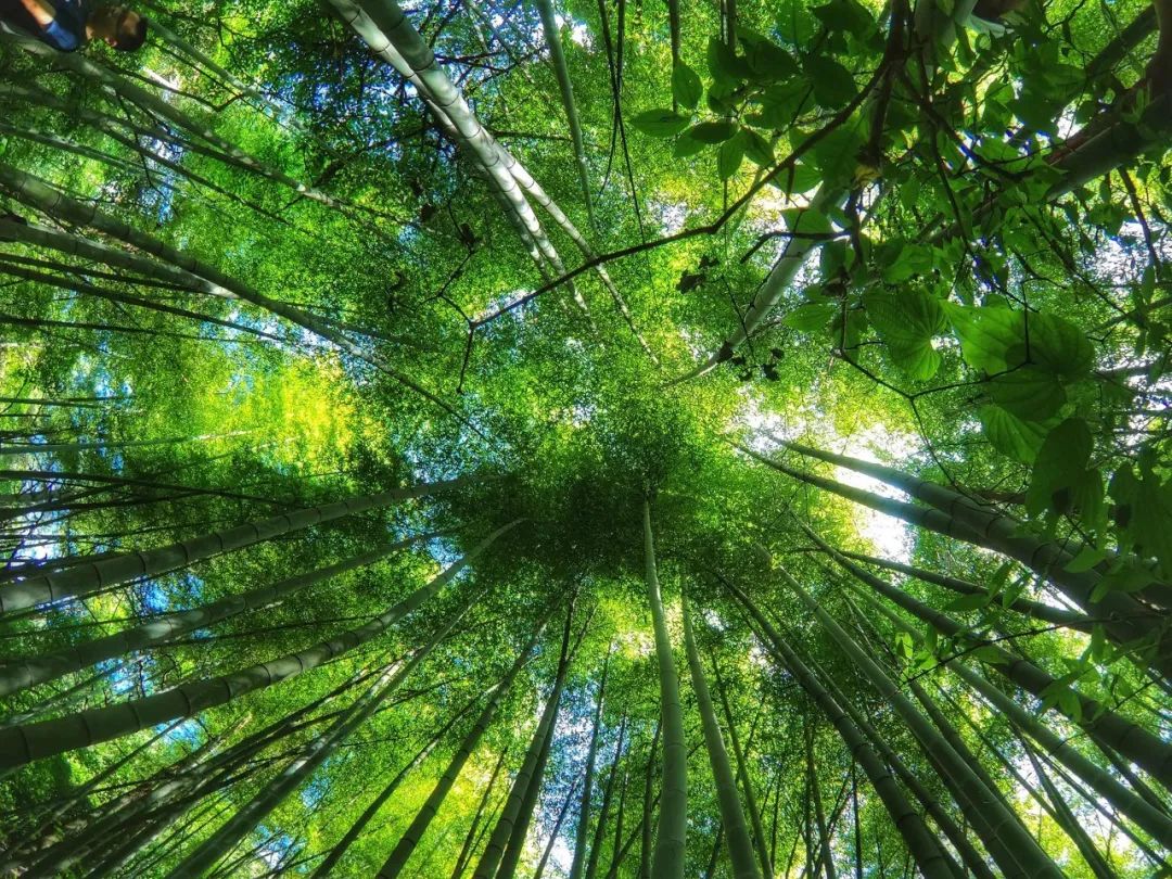 杭州山沟沟景点_杭州山沟沟旅游攻略_杭州山沟沟风景名胜区