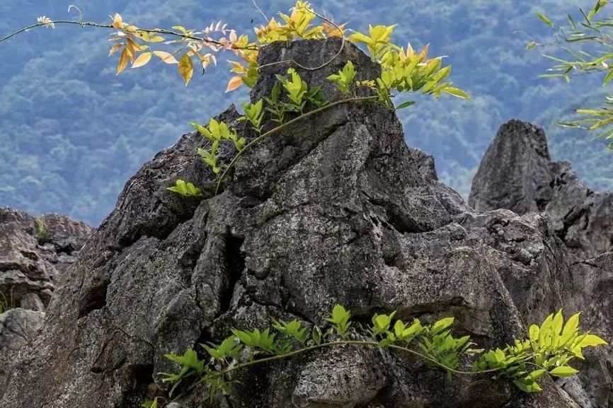 杭州山沟沟景点_杭州山沟沟风景名胜区_杭州山沟沟旅游攻略