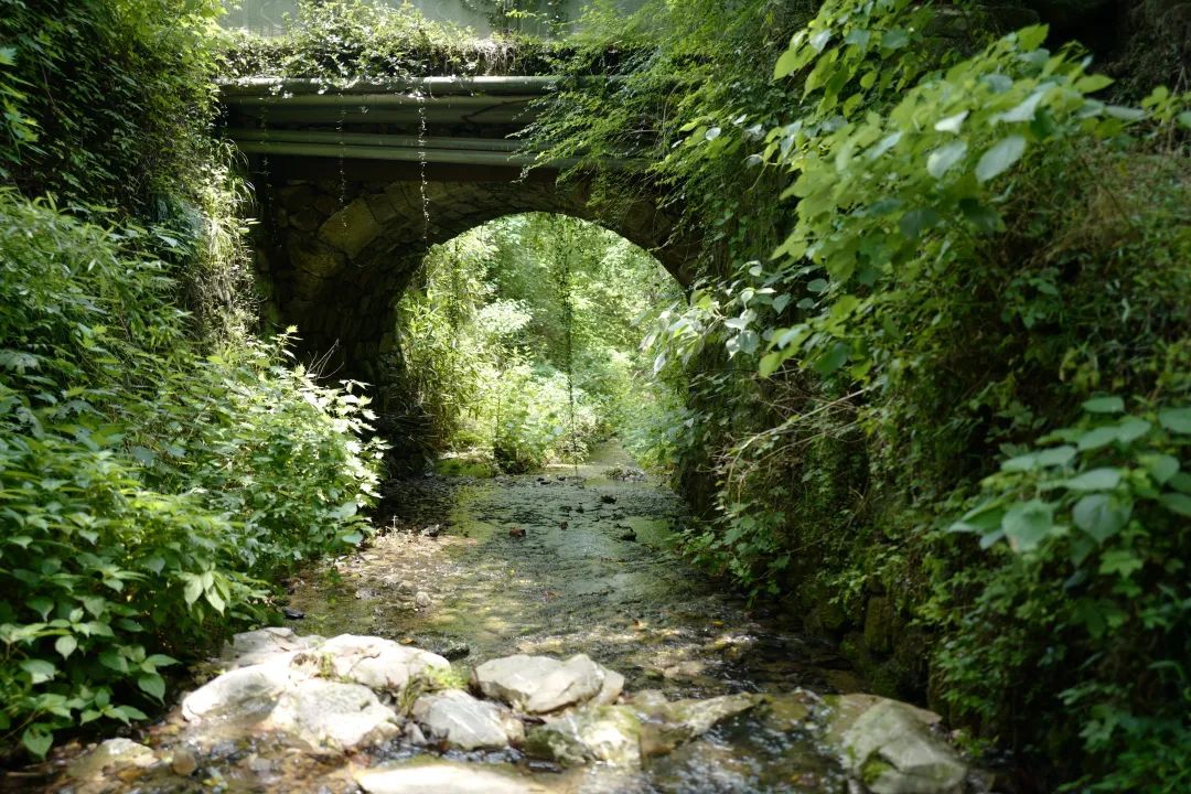 杭州山沟沟旅游攻略_杭州山沟沟风景名胜区_杭州山沟沟景点