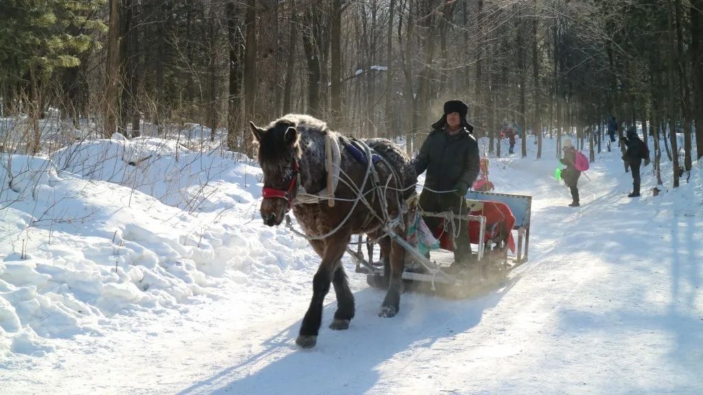 雪乡旅游 穿衣 攻略_去雪乡要穿什么鞋子_雪乡玩穿什么衣服