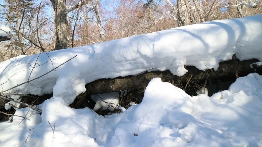 雪乡旅游 穿衣 攻略_去雪乡要穿什么鞋子_雪乡玩穿什么衣服