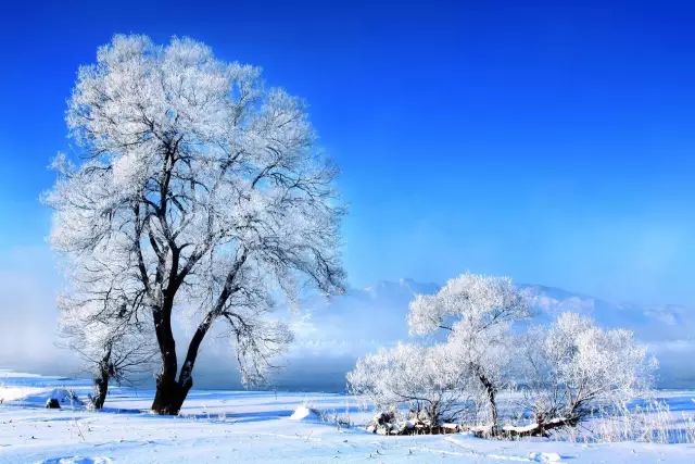 雪乡玩穿什么衣服_去雪乡要穿什么鞋子_雪乡旅游 穿衣 攻略