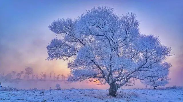 雪乡玩穿什么衣服_去雪乡要穿什么鞋子_雪乡旅游 穿衣 攻略