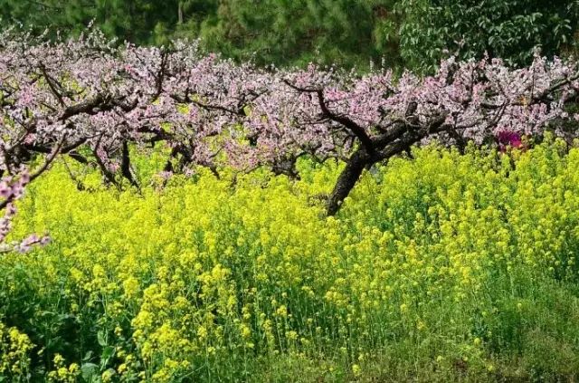 杭州山沟沟风景名胜区_杭州山沟沟旅游攻略_杭州山沟沟门票多少钱