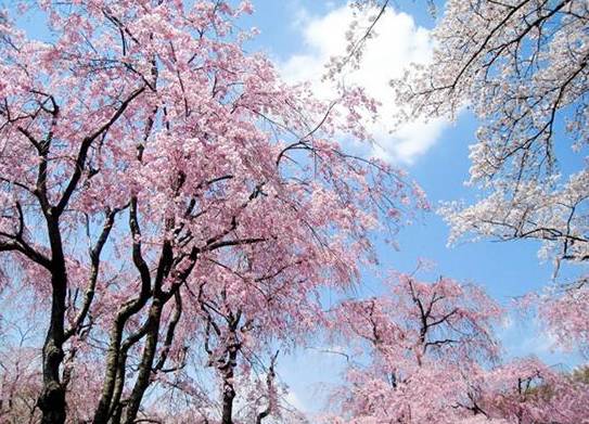 杭州山沟沟风景名胜区_杭州山沟沟旅游攻略_杭州山沟沟门票多少钱