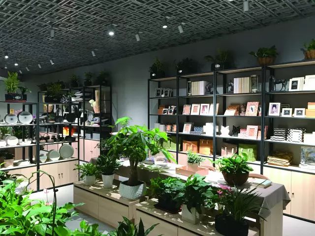 时尚家居饰品生活馆都有什么_时尚家居饰品店_家居用品饰品生活馆