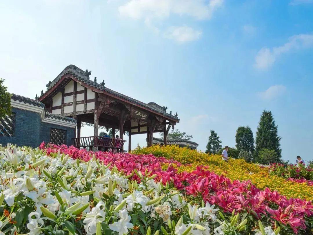 新津老君山简介_新津老君山旅游攻略_新津老君山风景区怎么样