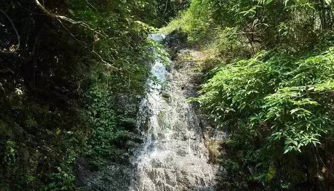 深圳凤凰山游记_深圳凤凰山一日游_深圳凤凰山旅游攻略