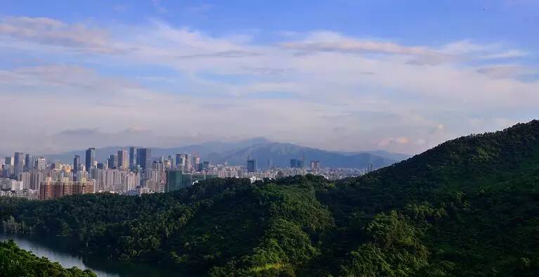 深圳凤凰山游记_深圳凤凰山旅游攻略_深圳凤凰山一日游