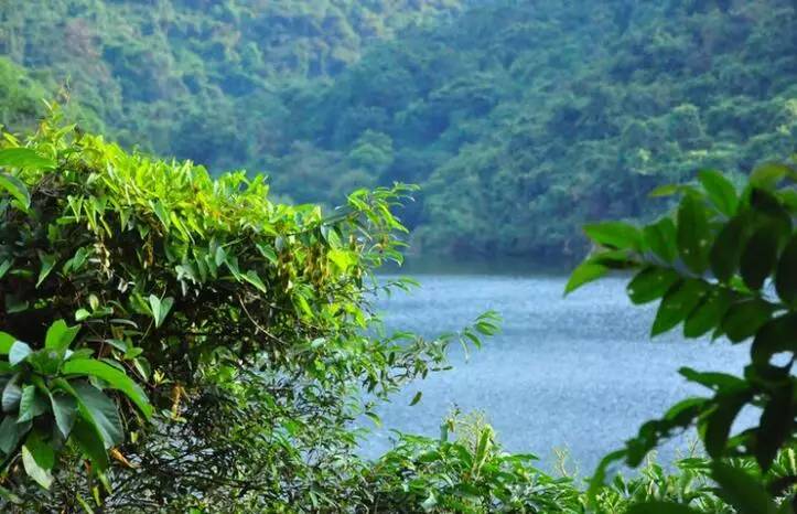 深圳凤凰山旅游攻略_深圳凤凰山游记_深圳凤凰山一日游