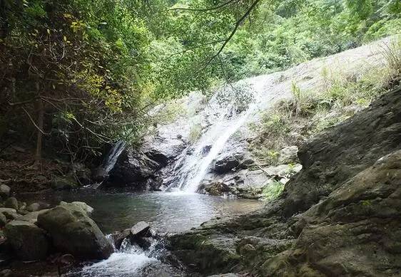 深圳凤凰山游记_深圳凤凰山旅游攻略_深圳凤凰山一日游