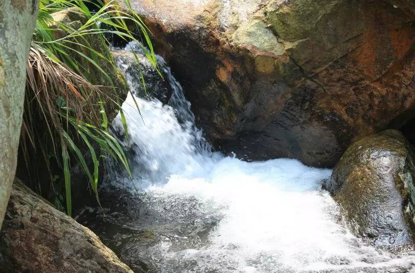 深圳凤凰山游记_深圳凤凰山一日游_深圳凤凰山旅游攻略