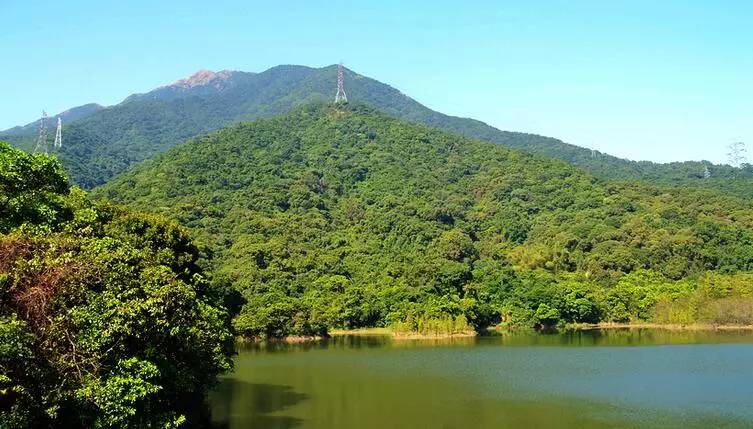 深圳凤凰山一日游_深圳凤凰山游记_深圳凤凰山旅游攻略