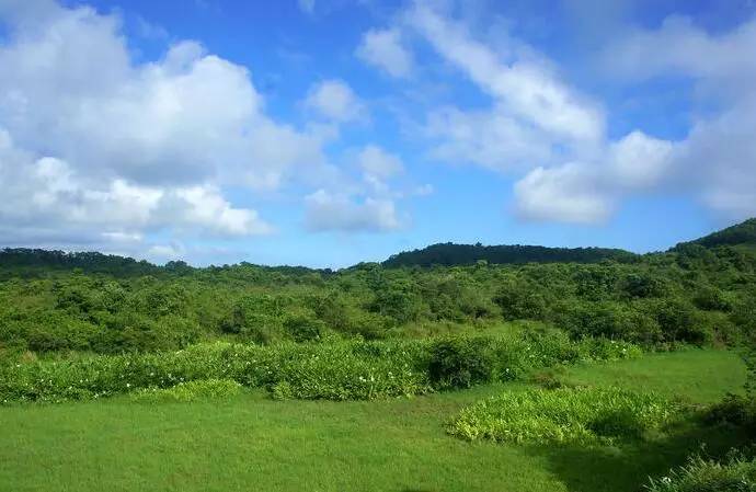 深圳凤凰山游记_深圳凤凰山一日游_深圳凤凰山旅游攻略