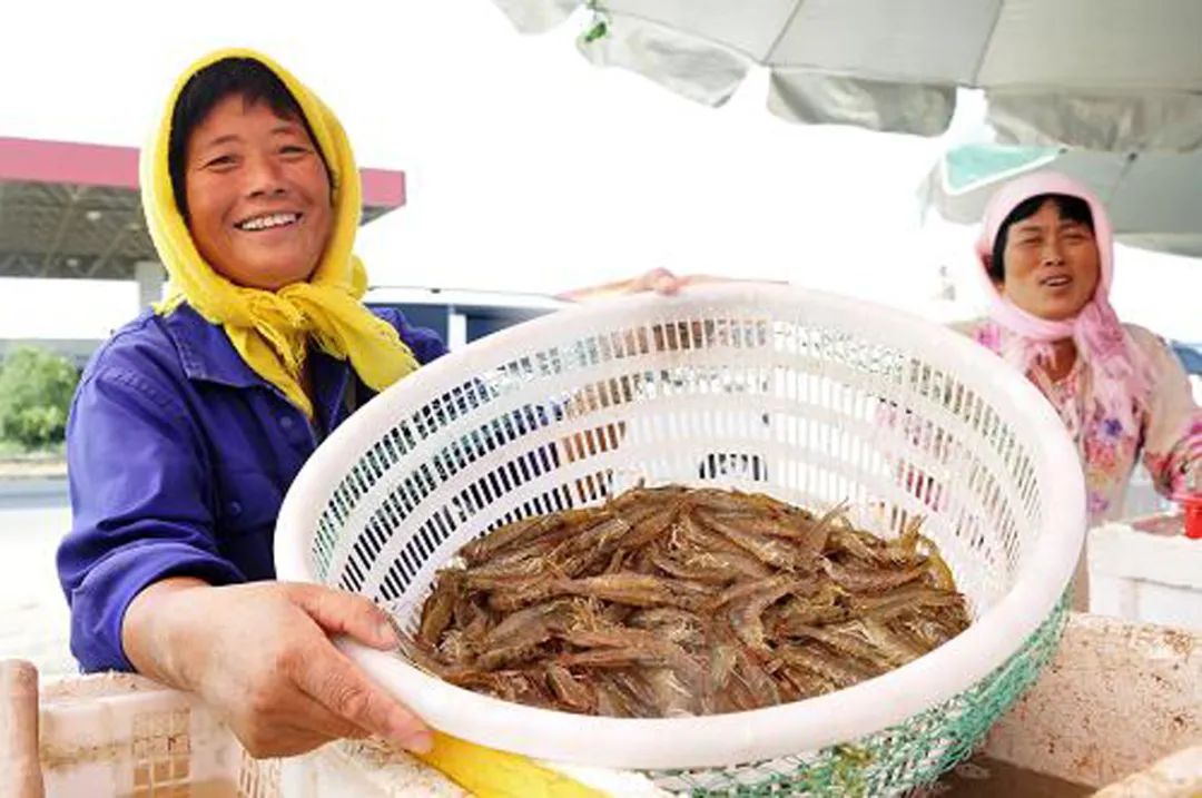 海上田园_海上田园玩什么_海上田园旅游攻略