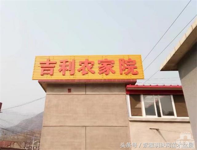 孤山寨电话_孤山寨游玩时间_孤山寨旅游攻略