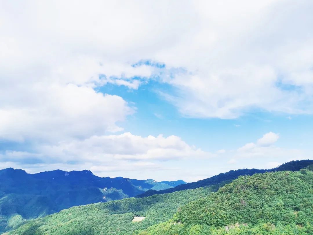 宜昌到神农架旅游攻略_宜昌到神农架三日游_宜昌到神农架一日游