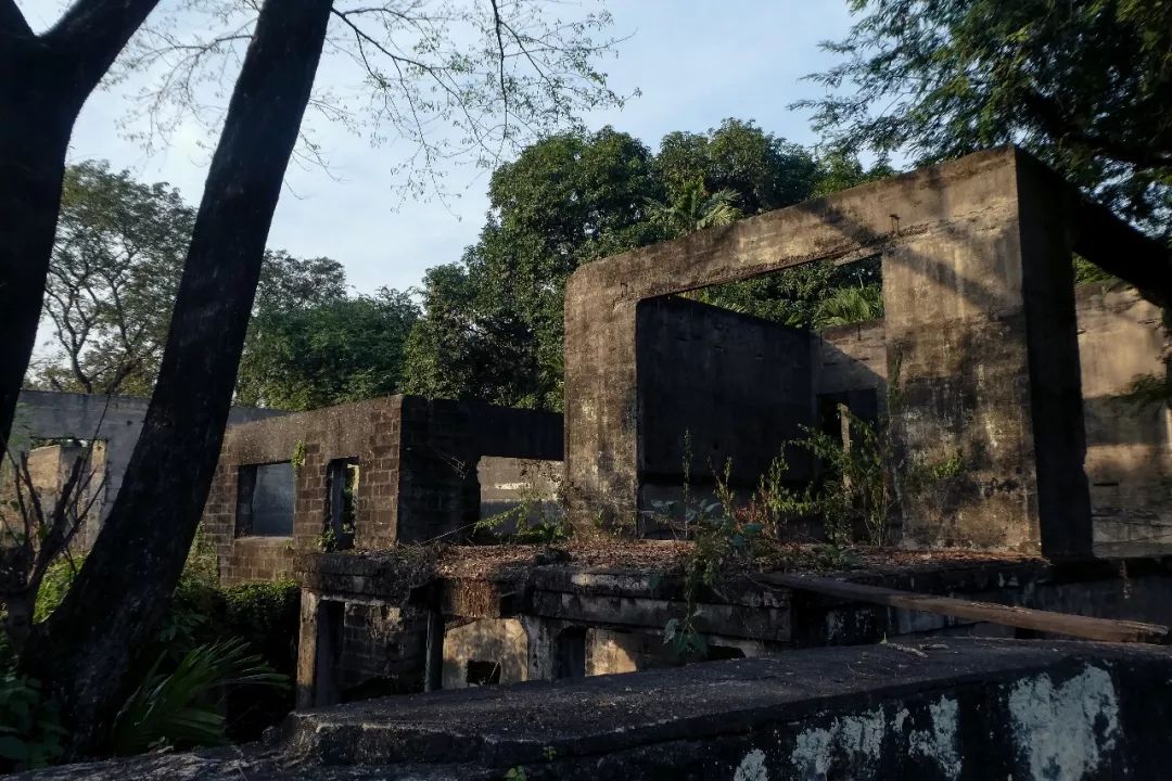 冲绳游轮5日游_邮轮冲绳旅游攻略_坐游轮去冲绳