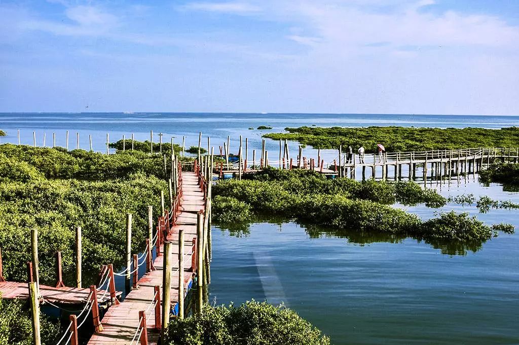 北海出发德天瀑布一日游_北海德天瀑布_北海德天瀑布旅游攻略