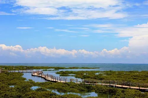 北海德天瀑布旅游攻略_北海出发德天瀑布一日游_北海德天瀑布