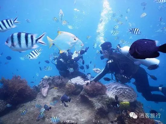 帕劳旅游自由行_帕劳旅游攻略自由行_美国帕劳旅游攻略