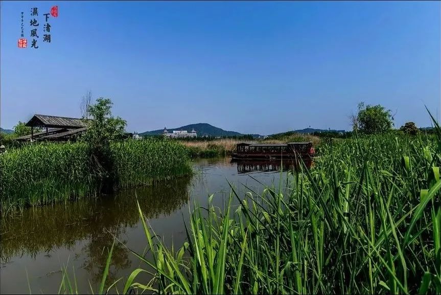 下渚湖旅游攻略_榜一先生总想给我花钱_艾力达国产仿制药