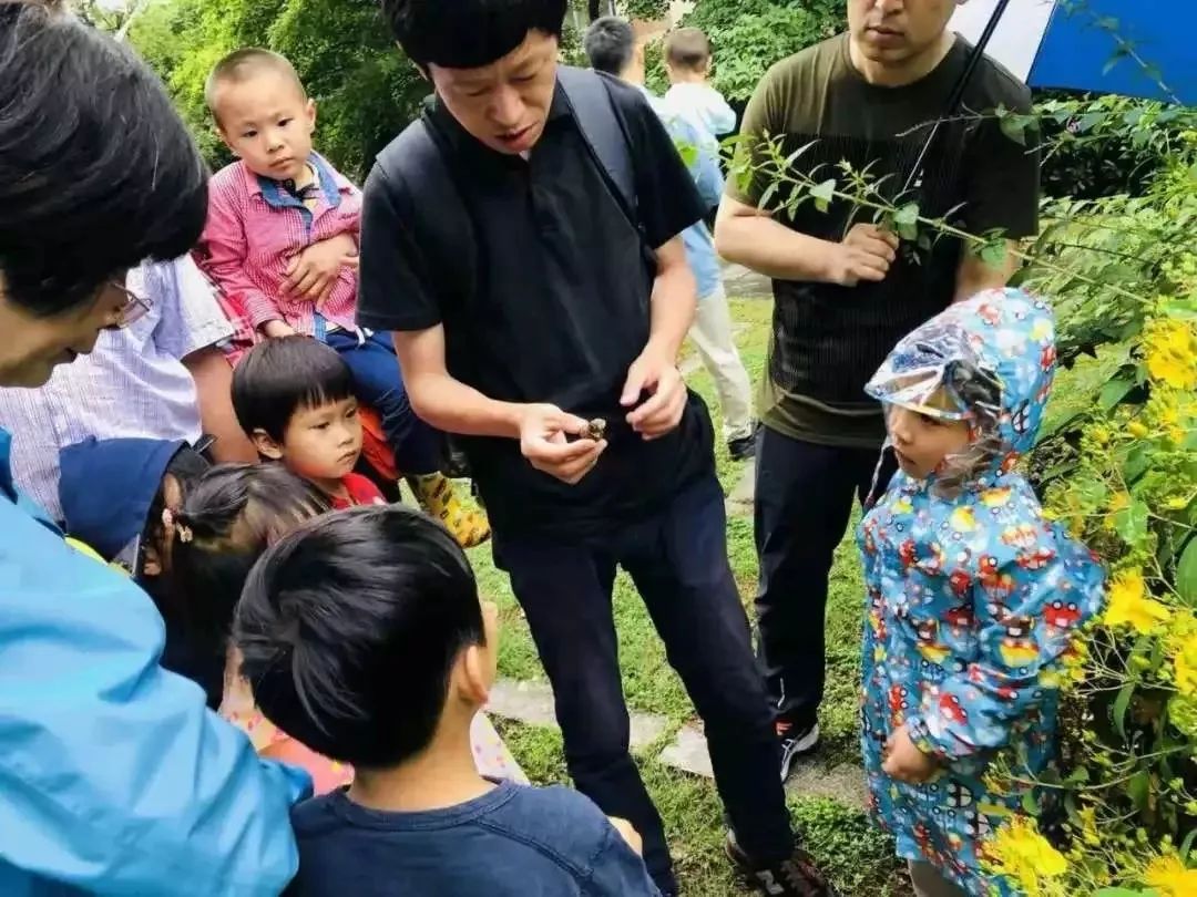 上海野生昆虫博物馆介绍_上海大自然野生昆虫馆旅游攻略_上海昆虫馆开放时间