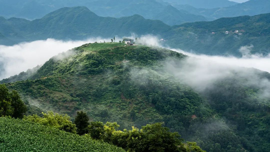 西安到金丝峡旅游攻略_金丝峡最佳旅游时间_金丝峡怎么去