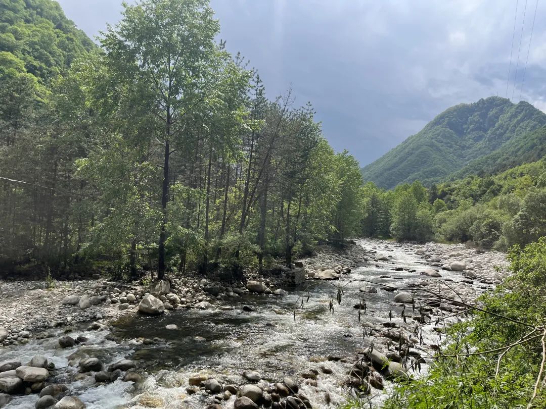 金丝峡怎么去_西安到金丝峡旅游攻略_金丝峡最佳旅游时间