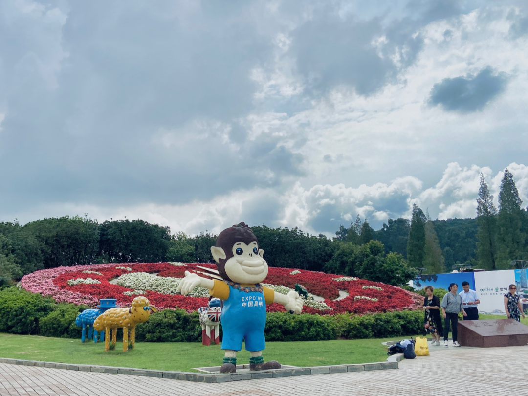 昆明景点攻略旅游去哪里_旅游攻略昆明必去景点_昆明景点攻略旅游去哪里好玩